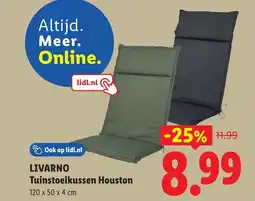Lidl Livarno tuinstoelkussen houston aanbieding
