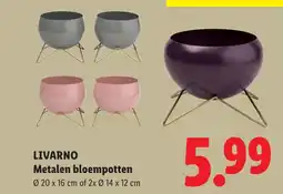 Lidl Livarno Metalen bloempotten aanbieding