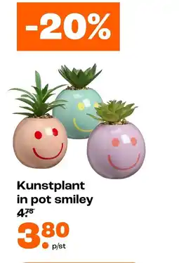 Kwantum Kunstplant in pot smiley aanbieding