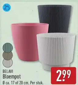 ALDI Belavi bloempot aanbieding