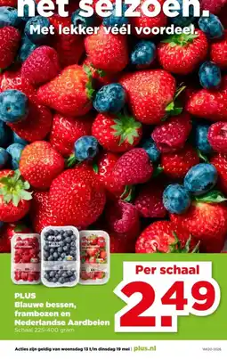 PLUS Plus blauwe bessen, frambozen en nederlandse aardbeien aanbieding