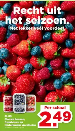 PLUS Plus blauwe bessen, frambozen en nederlandse aardbeien aanbieding