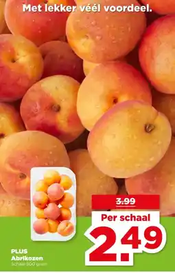 PLUS Plus abrikozen aanbieding