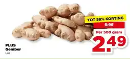 PLUS Plus gember aanbieding