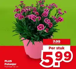 PLUS PLUS Potanjer aanbieding