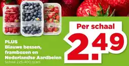 PLUS PLUSBlauwe bessen, frambozen en aanbieding