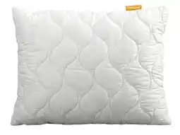 Lidl Emma Hoofdkussen Aloë vera 60 x 70 cm aanbieding