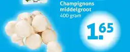 Hoogvliet Champignons middelgroot aanbieding
