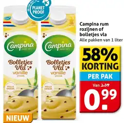 Hoogvliet Campina rum rozijnen of bolletjes vla aanbieding