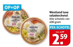 Hoogvliet Westland luxe saladeschotel aanbieding