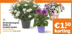 Albert Heijn AH Struikmargriet, dahlia of Confetti Garden aanbieding