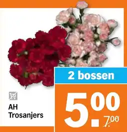 Albert Heijn AH Trosanjers aanbieding