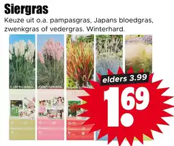 Dirk Siergras aanbieding