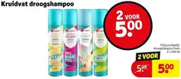 Kruidvat Kruidvat droogshampoo aanbieding