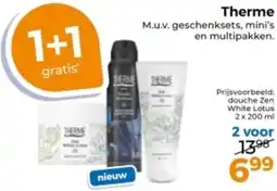 Trekpleister Therme aanbieding