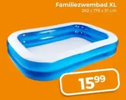Trekpleister Familiezwembad XL aanbieding