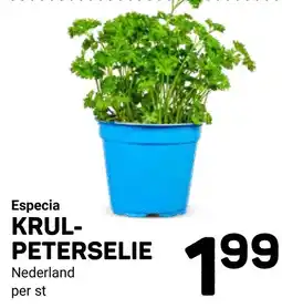Ekoplaza Krul peterselie aanbieding