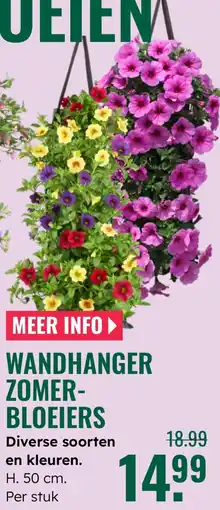 GroenRijk Wandhanger zomer- bloeiers aanbieding