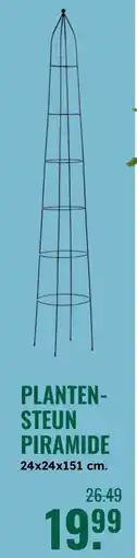 GroenRijk Planten- steun piramide aanbieding