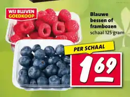 Nettorama Blauwe bessen of frambozen aanbieding