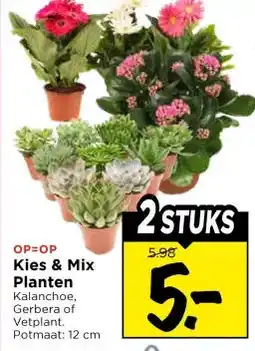 Vomar Voordeelmarkt Kies & Mix Planten aanbieding