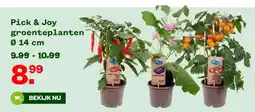 Welkoop Pick & Joy groenteplanten 0 aanbieding