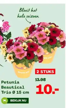 Welkoop Petunia Beautical Trio 0 aanbieding