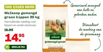 Welkoop Welkoop gemengd graan kippen aanbieding
