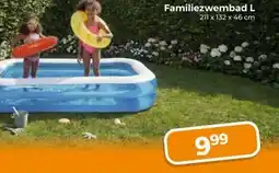 Trekpleister Familiezwembad aanbieding