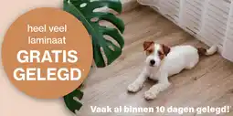 Roobol Heel veel laminaat GRATIS GELEGD aanbieding