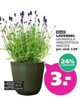 Ranzijn LAVENDEL aanbieding