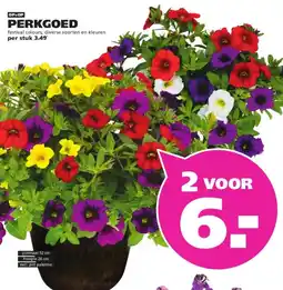 Ranzijn PERKGOED aanbieding