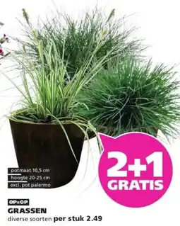 Ranzijn GRASSEN aanbieding