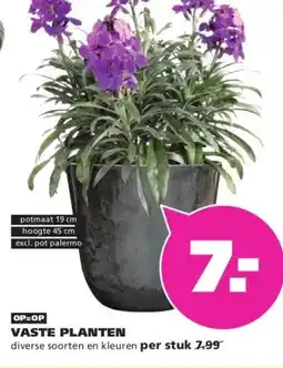 Ranzijn VASTE PLANTEN aanbieding