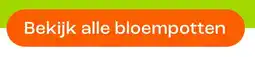 Kwantum Bekijk alle bloempotten aanbieding