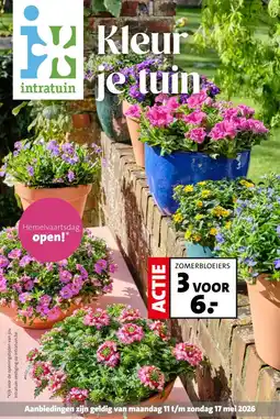 Intratuin ZOMERBLOEIERS aanbieding