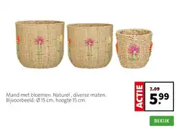 Intratuin Mand met bloemen. Naturel , diverse maten. Bijvoorbeeld: Ø 15 cm, hoogte 15 cm. aanbieding