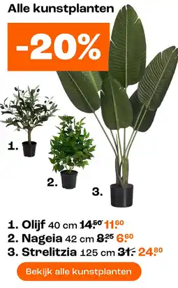 Kwantum Alle kunstplanten -20% aanbieding
