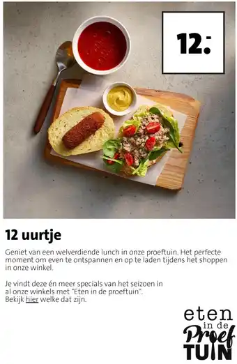 Intratuin 12 uurtje aanbieding