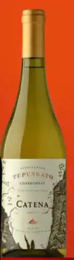 Gall & Gall Catena Appellation Tupungato Chardonnay 75CL aanbieding