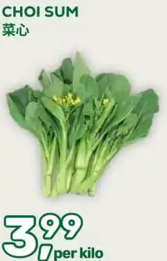 Amazing Oriëntal CHOI SUM aanbieding