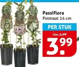 Hoogvliet Passiflora aanbieding