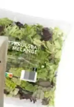 Poiesz Krulsla of eikenbladsla melange aanbieding