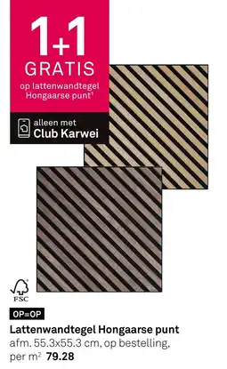 Karwei Lattenwandtegel hongaarse punt aanbieding
