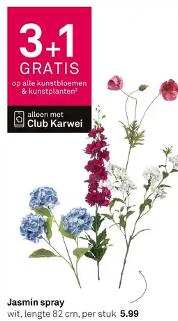 Karwei Jasmin spray aanbieding