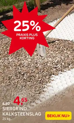 Praxis Siergrind kalksteenslag aanbieding