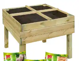 Praxis Forest-Style Moestuinbak aanbieding