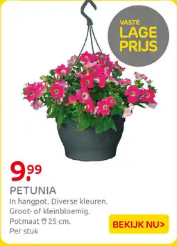 Praxis Petunia aanbieding