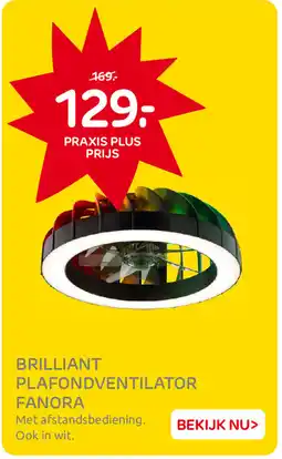 Praxis Brilliant Plafondventilator Fanora aanbieding