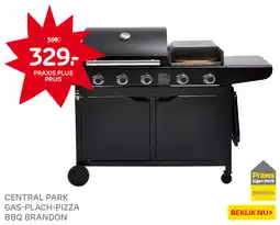 Praxis Central park gas-plach-pizza bbq brandon aanbieding